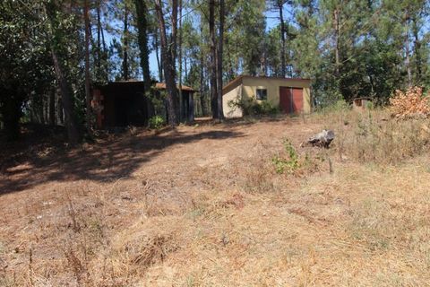 Farm i Santo Andre, Setubal, Santo Andre - € 130.000 | Ref: 2559 QUI - foto 14