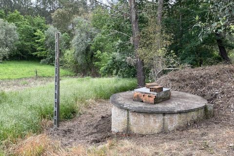 Farm i Santo Andre, Setubal, Santo Andre - € 130.000 | Ref: 2559 QUI - foto 15