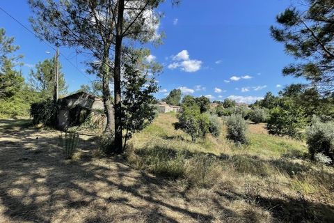 Farm i Santo Andre, Setubal, Santo Andre - € 130.000 | Ref: 2559 QUI - foto 16