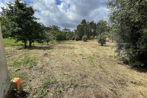 Farm i Santo Andre, Setubal, Santo Andre - € 130.000 | Ref: 2559 QUI - foto 17