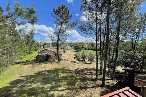 Farm i Santo Andre, Setubal, Santo Andre - € 130.000 | Ref: 2559 QUI - foto 18