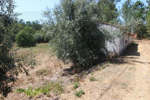 Farm i Santo Andre, Setubal, Santo Andre - € 130.000 | Ref: 2559 QUI - foto 19