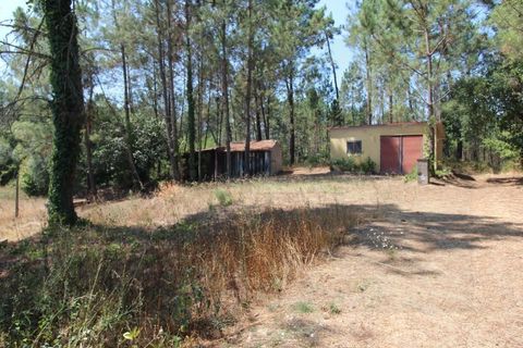 Farm i Santo Andre, Setubal, Santo Andre - € 130.000 | Ref: 2559 QUI - foto 20