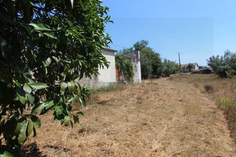 Farm i Santo Andre, Setubal, Santo Andre - € 130.000 | Ref: 2559 QUI - foto 21