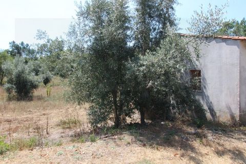 Farm i Santo Andre, Setubal, Santo Andre - € 130.000 | Ref: 2559 QUI - foto 22