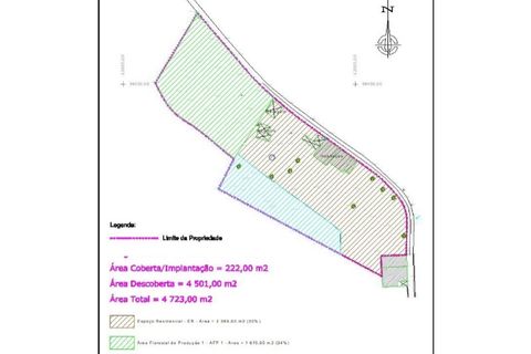 Farm i Santo Andre, Setubal, Santo Andre - € 130.000 | Ref: 2559 QUI - foto 23