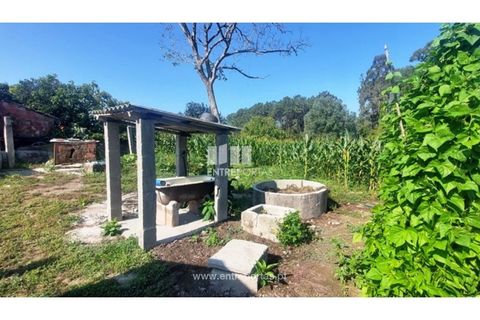 Villa i Viana do Castelo, Viana do Castelo, Viana do Castelo - € 450.000 | Ref: VCM14246(1) - foto 15