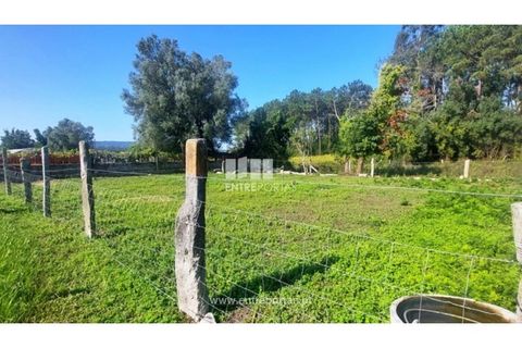 Villa i Viana do Castelo, Viana do Castelo, Viana do Castelo - € 450.000 | Ref: VCM14246(1) - foto 16