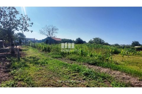 Villa i Viana do Castelo, Viana do Castelo, Viana do Castelo - € 450.000 | Ref: VCM14246(1) - foto 17