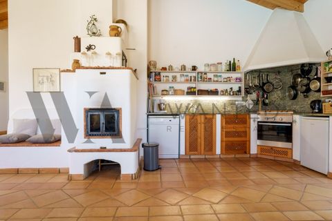 Landejendom i Bordeira, Faro, Bordeira - € 2.900.000 | Ref: WANTED_518 - foto 13