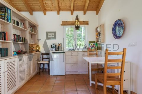 Landejendom i Bordeira, Faro, Bordeira - € 2.900.000 | Ref: WANTED_518 - foto 24