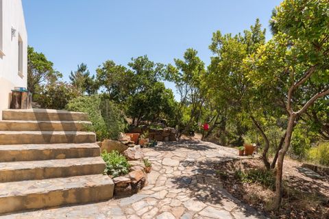 Landejendom i Bordeira, Faro, Bordeira - € 2.900.000 | Ref: WANTED_518 - foto 30