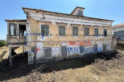 Farm i Abrantes, Santarem, Abrantes - € 250.000 | Ref: Q-25676 - foto 1