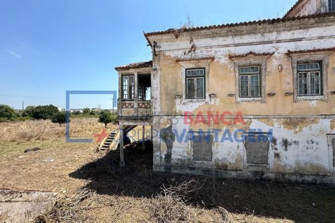Farm i Abrantes, Santarem, Abrantes - € 250.000 | Ref: Q-25676 - foto 2
