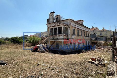 Farm i Abrantes, Santarem, Abrantes - € 250.000 | Ref: Q-25676 - foto 3