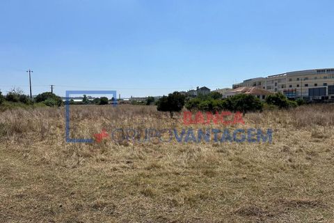 Farm i Abrantes, Santarem, Abrantes - € 250.000 | Ref: Q-25676 - foto 4