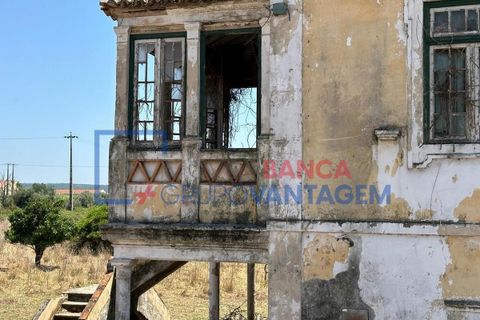 Farm i Abrantes, Santarem, Abrantes - € 250.000 | Ref: Q-25676 - foto 5