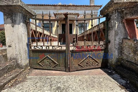 Farm i Abrantes, Santarem, Abrantes - € 250.000 | Ref: Q-25676 - foto 6
