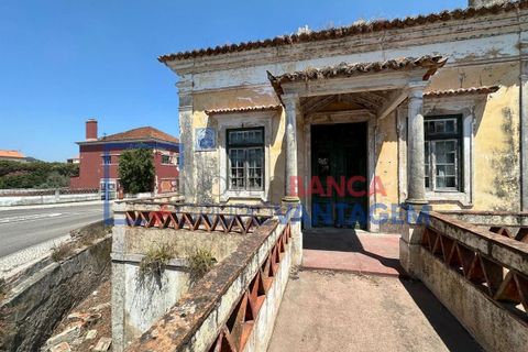 Farm i Abrantes, Santarem, Abrantes - € 250.000 | Ref: Q-25676 - foto 7