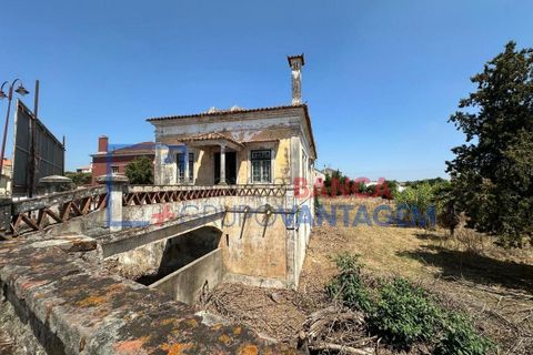 Farm i Abrantes, Santarem, Abrantes - € 250.000 | Ref: Q-25676 - foto 9