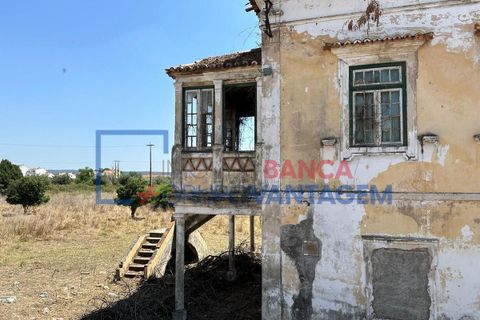 Farm i Abrantes, Santarem, Abrantes - € 250.000 | Ref: Q-25676 - foto 10