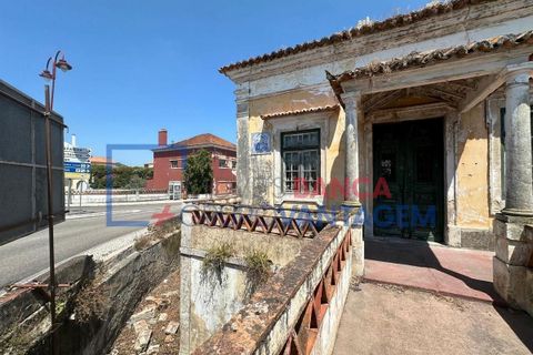 Farm i Abrantes, Santarem, Abrantes - € 250.000 | Ref: Q-25676 - foto 11