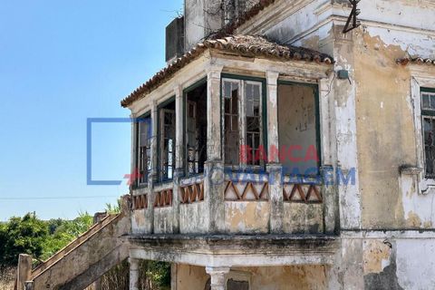 Farm i Abrantes, Santarem, Abrantes - € 250.000 | Ref: Q-25676 - foto 12