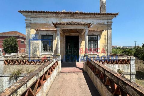 Farm i Abrantes, Santarem, Abrantes - € 250.000 | Ref: Q-25676 - foto 13