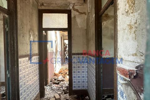 Farm i Abrantes, Santarem, Abrantes - € 250.000 | Ref: Q-25676 - foto 14