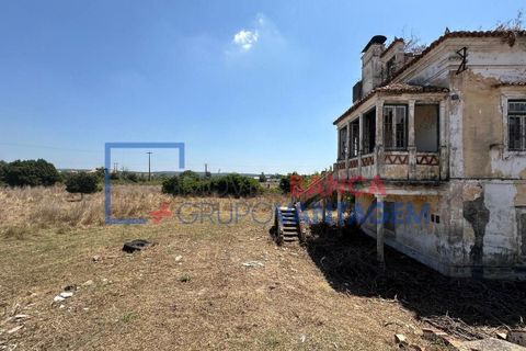 Farm i Abrantes, Santarem, Abrantes - € 250.000 | Ref: Q-25676 - foto 15