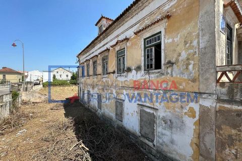 Farm i Abrantes, Santarem, Abrantes - € 250.000 | Ref: Q-25676 - foto 16