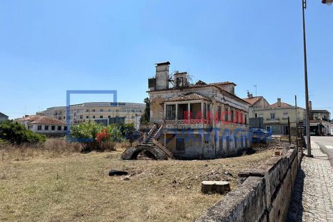 Farm i Abrantes, Santarem, Abrantes - € 250.000 | Ref: Q-25676 - foto 17