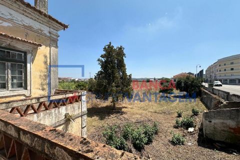 Farm i Abrantes, Santarem, Abrantes - € 250.000 | Ref: Q-25676 - foto 18