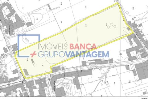 Farm i Abrantes, Santarem, Abrantes - € 250.000 | Ref: Q-25676 - foto 19