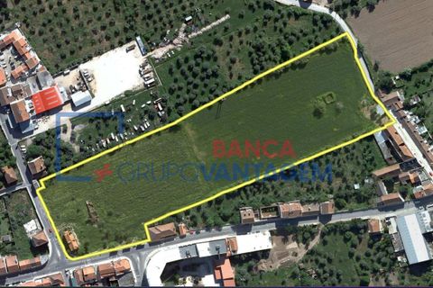 Farm i Abrantes, Santarem, Abrantes - € 250.000 | Ref: Q-25676 - foto 20