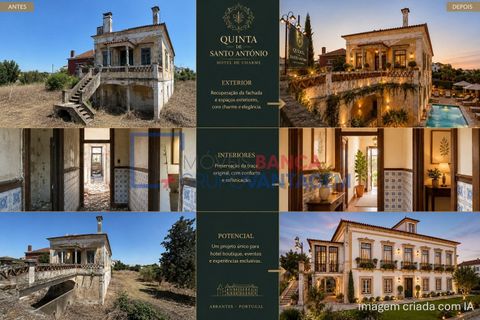 Gård i Abrantes, Santarem, Abrantes - € 250 000 | Ref: Q-25676 - foto 21