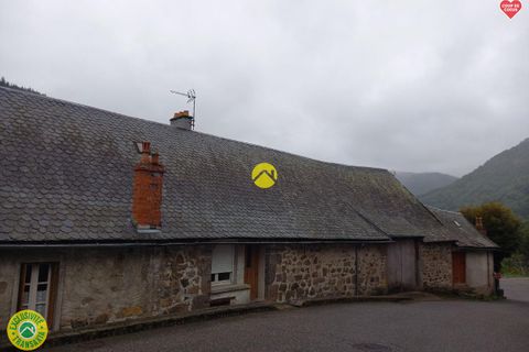 Villa a Laveissière, Cantal, Laveissière - € 85.000 | Ref: 101CAL110478 - foto 3