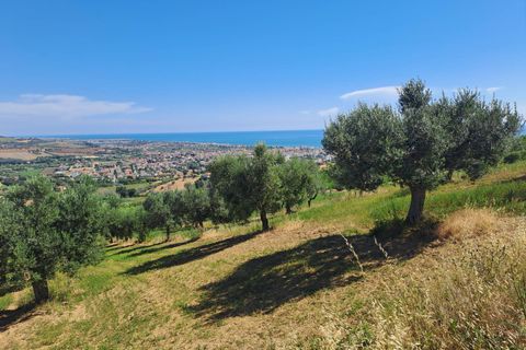 Helårsgrund i Tortoreto, Teramo, Tortoreto - € 70.000 | Ref: Ter11 - foto 3