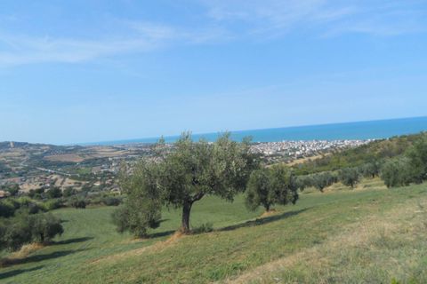 Helårsgrund i Tortoreto, Teramo, Tortoreto - € 70.000 | Ref: Ter11 - foto 10