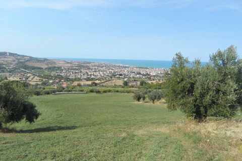 Helårsgrund i Tortoreto, Teramo, Tortoreto - € 70.000 | Ref: Ter11 - foto 17