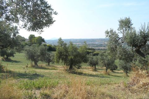 Helårsgrund i Tortoreto, Teramo, Tortoreto - € 70.000 | Ref: Ter11 - foto 24