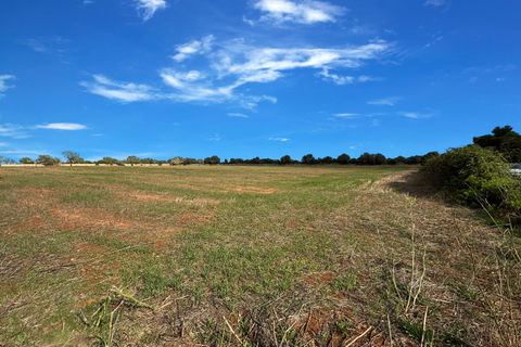 Terra a Santanyi, Mallorca, Santanyi - € 320.000 | Ref: FALC-StBa-75465 - foto 4