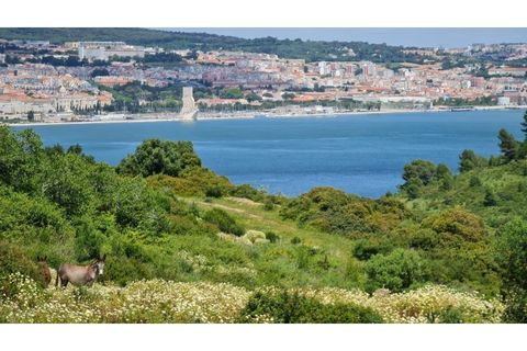 Villa i Costa da Caparica, Setubal, Costa da Caparica - € 2.900.000 | Ref: CDB105a - foto 36