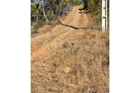 Terra a Budens, Faro, Budens - € 60.000 | Ref: TER_354 - foto 9
