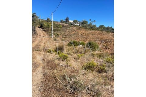 Terra a Budens, Faro, Budens - € 60.000 | Ref: TER_354 - foto 10
