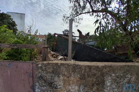 Helårsgrund i Lagos, Faro, Lagos - € 90.000 | Ref: 149679 - foto 4