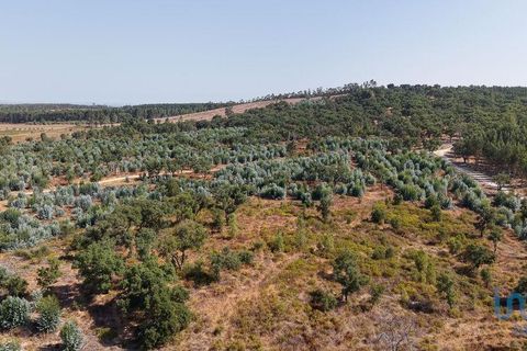 Terra a Alpiarca, Santarem, Alpiarca - € 531.898 | Ref: 146850 - foto 2