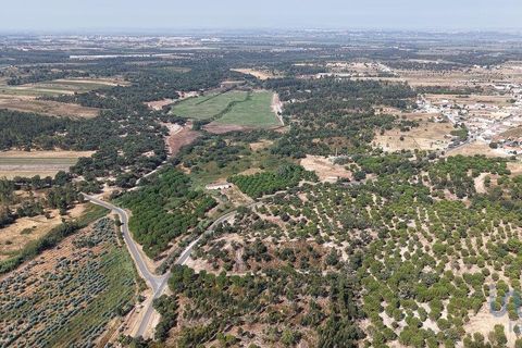 Terra a Alpiarca, Santarem, Alpiarca - € 531.898 | Ref: 146850 - foto 9