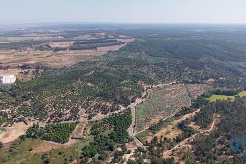 Terra a Alpiarca, Santarem, Alpiarca - € 531.898 | Ref: 146850 - foto 10