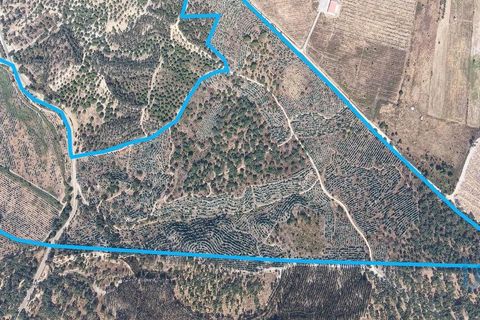 Terra a Alpiarca, Santarem, Alpiarca - € 531.898 | Ref: 146850 - foto 13